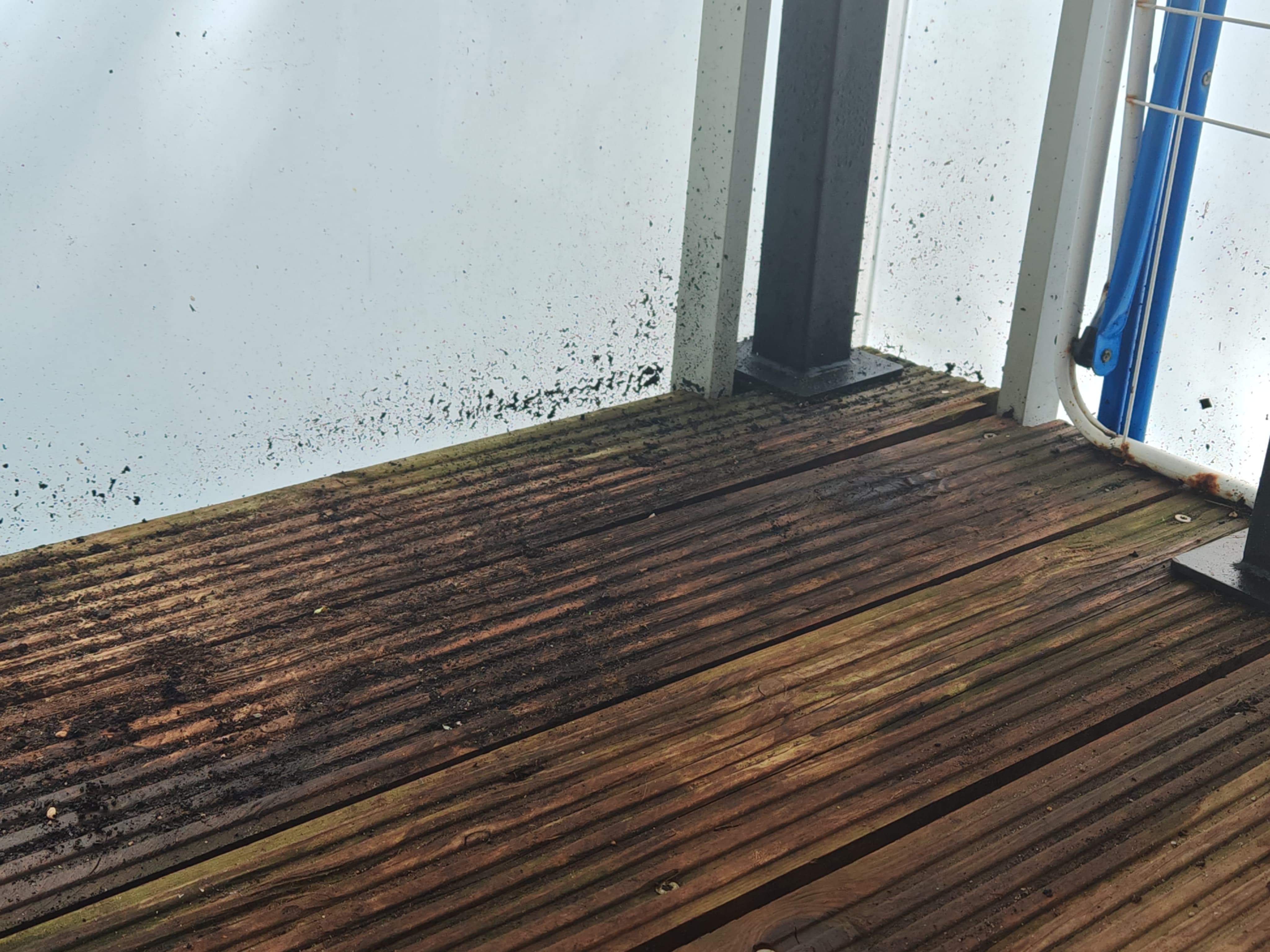 Terrasse Avant nettoyage